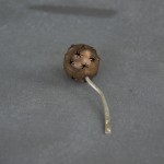 Sweet Gum Pin