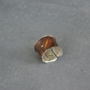 Anticlastic Ring